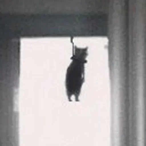 🐈‍⬛️ Стикер «котики для котят» для Telegram