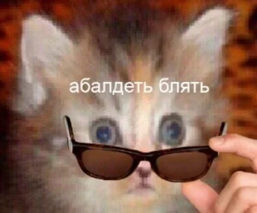 🐈‍⬛️ Стикер «котики для котят» для Telegram