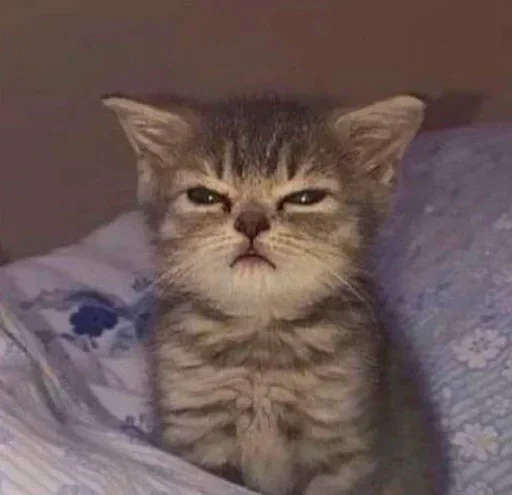🐈‍⬛️ Стикер «котики для котят» для Telegram