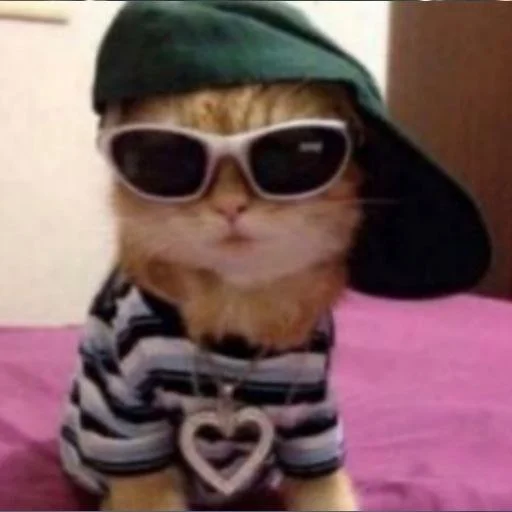 🐈‍⬛️ Стикер «котики для котят» для Telegram