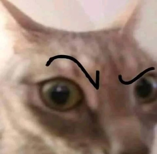 🐈‍⬛️ Стикер «котики для котят» для Telegram