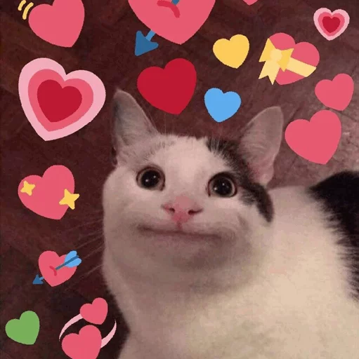 ⚡️ Стикер «Cat&;s Memes» для Telegram