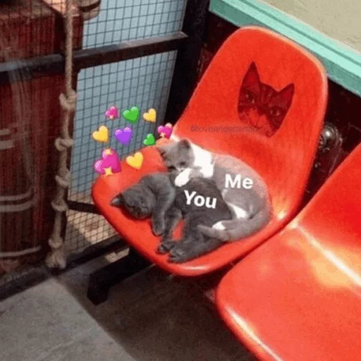 ⚡️ Стикер «Cat&;s Memes» для Telegram
