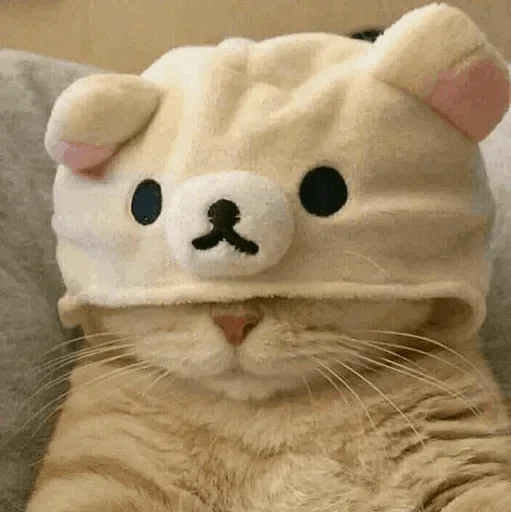 🐾 Стикер «cats» для Telegram