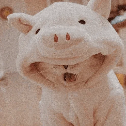 🐾 Стикер «cats» для Telegram