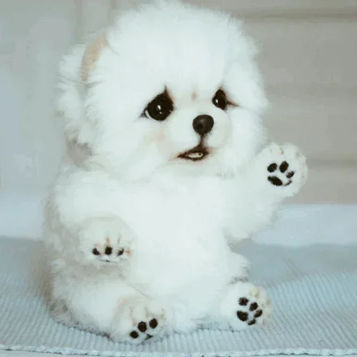 🐾 Стикер «cats» для Telegram
