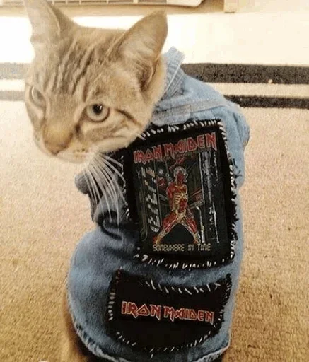 😜 Стикер «Cats Time» для Telegram