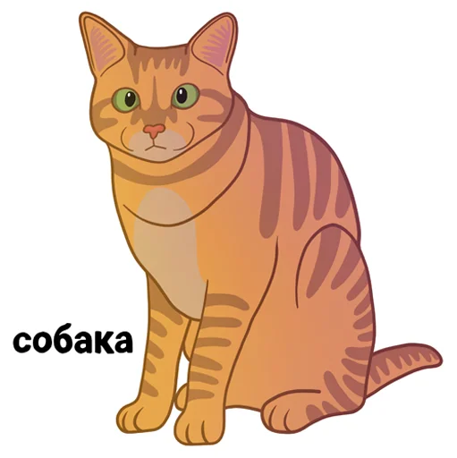 Стикерпак МЕМНЫЕ КОТЫ для Telegram