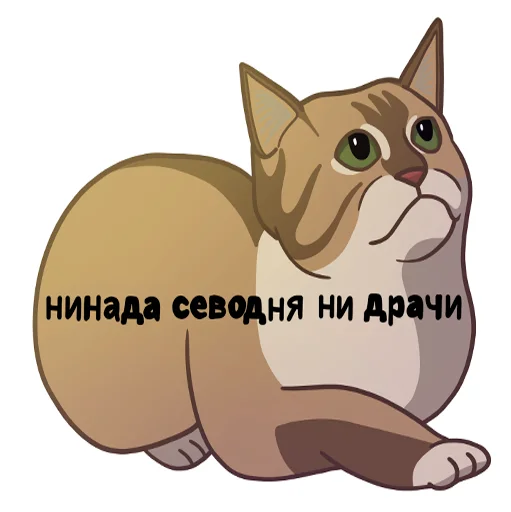 😈 Стикер «МЕМНЫЕ КОТЫ» для Telegram