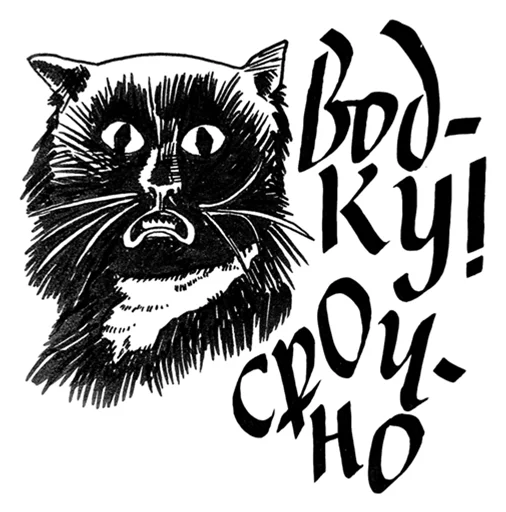 🍾 Стикер «Кошачий вайб» для Telegram