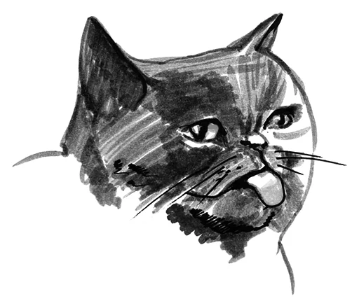 😛 Стикер «Кошачий вайб» для Telegram