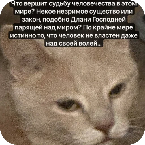 🫥 Стикер «Вовка Цезарь и Борис» для Telegram