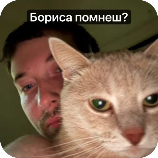 🫥 Стикер «Вовка Цезарь и Борис» для Telegram
