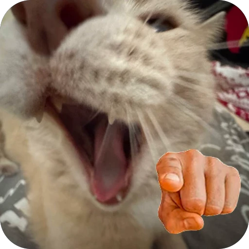 🫥 Стикер «Вовка Цезарь и Борис» для Telegram