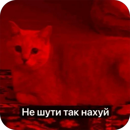 🫥 Стикер «Вовка Цезарь и Борис» для Telegram