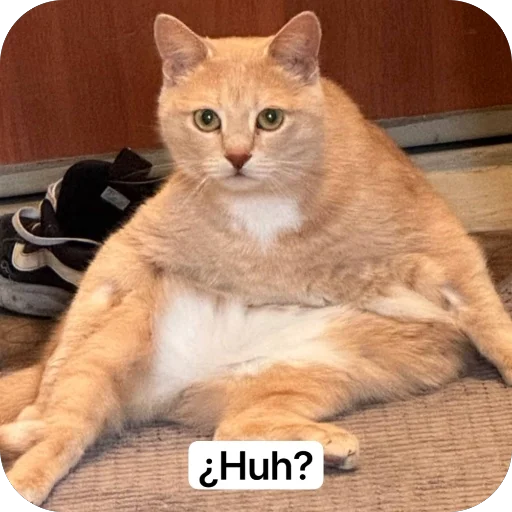 🫥 Стикер «Вовка Цезарь и Борис» для Telegram