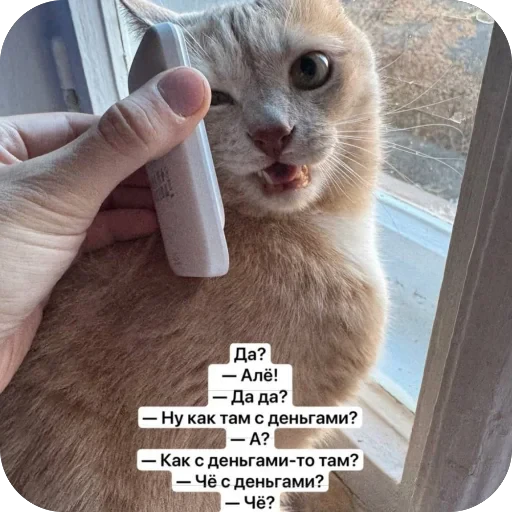 🫥 Стикер «Вовка Цезарь и Борис» для Telegram