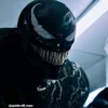 Стикер 15 Venom #status #film