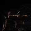Стикер 21 Venom #status #film