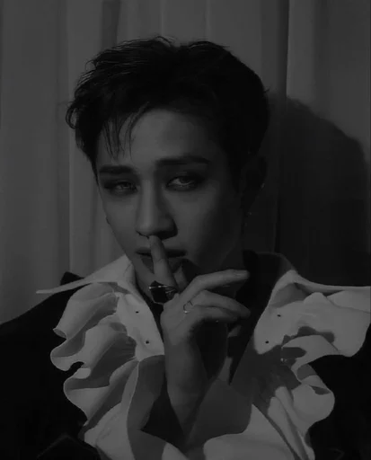 🐺 Стикер «чб bang chan» для Telegram