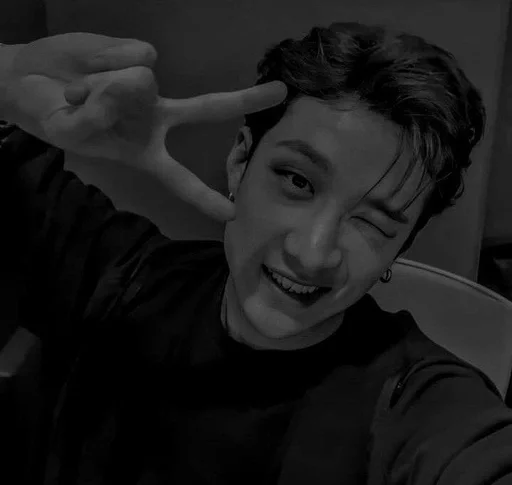 🐺 Стикер «чб bang chan» для Telegram