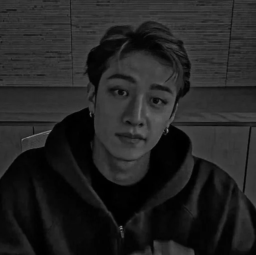 🐺 Стикер «чб bang chan» для Telegram