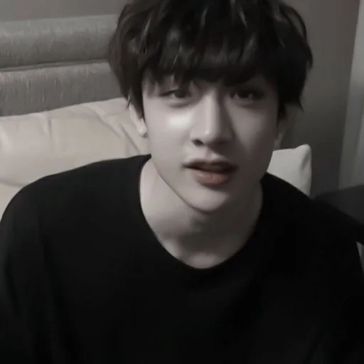 🐺 Стикер «чб bang chan» для Telegram
