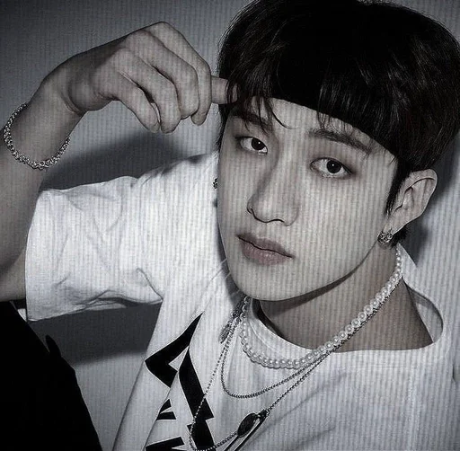 🐺 Стикер «чб bang chan» для Telegram