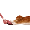 Стикер 23 Кошачья Жизнь
