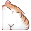 Стикер 5 Cute Cat