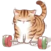 Стикер 52 Cute Cat