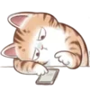 Стикер 56 Cute Cat