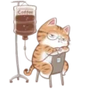 Стикер 23 Cute Cat