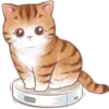 Стикер 55 Cute Cat