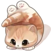 Стикер 25 Cute Cat