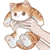 Стикер 37 Cute Cat