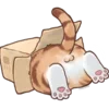 Обложка набора Cute Cat
