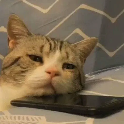 😫 Стикер «лучший пак» для Telegram