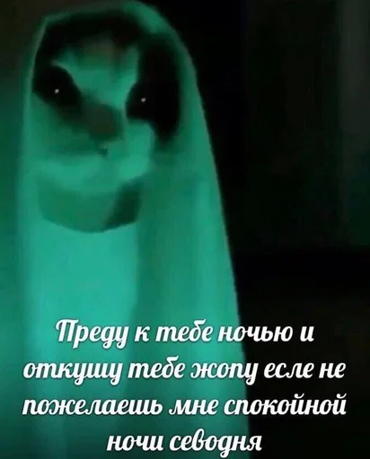 🔪 Стикер «кис кис я котик ты котик» для Telegram