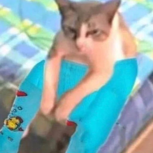 🧦 Стикер «кис кис я котик ты котик» для Telegram