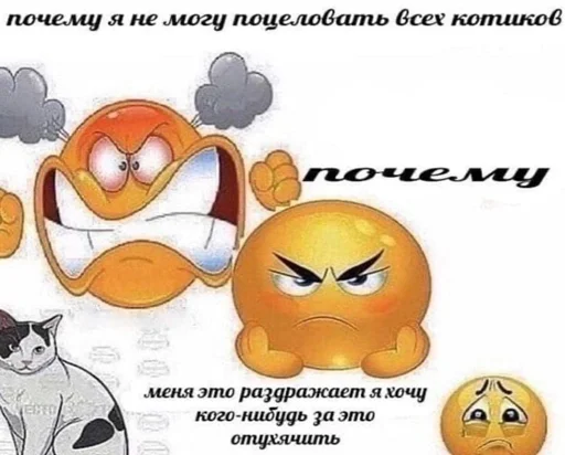 🤬 Стикер «кис кис я котик ты котик» для Telegram