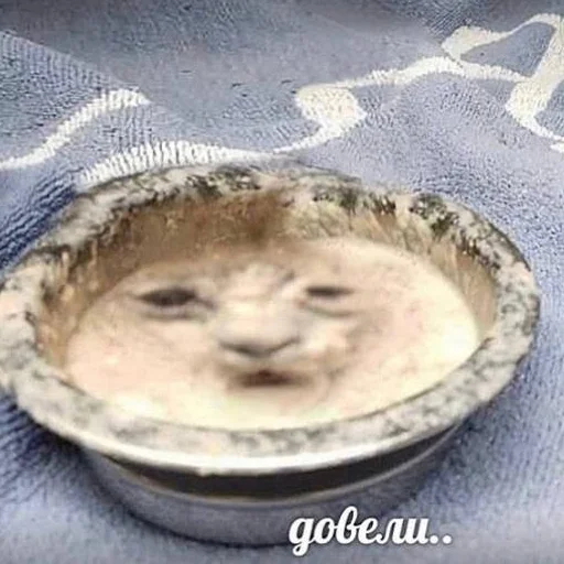 😔 Стикер «кис кис я котик ты котик» для Telegram