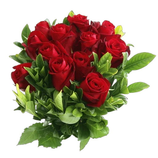 💐 Стикер «Happy birthday!» для Telegram