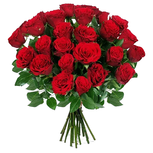 💐 Стикер «Happy birthday!» для Telegram