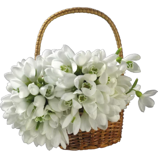 💐 Стикер «Happy birthday!» для Telegram