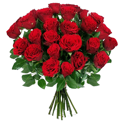 💐 Стикер «congratulations» для Telegram