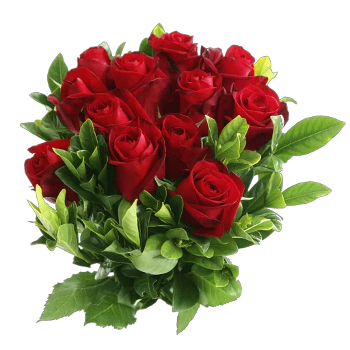 💐 Стикер «congratulations» для Telegram