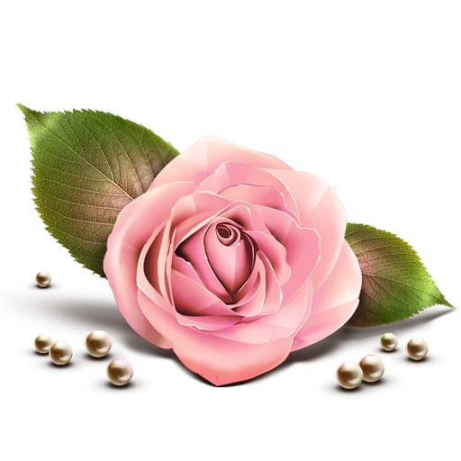 🌹 Стикер «congratulations» для Telegram