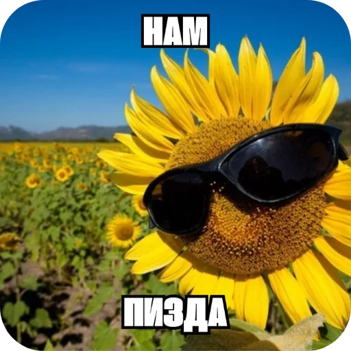 🌸 Стикер «Слава семочному союзу» для Telegram