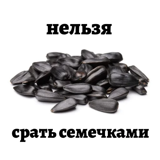 🤘 Стикер «Слава семочному союзу» для Telegram